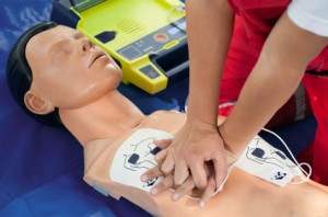 nelson bay first aid courses